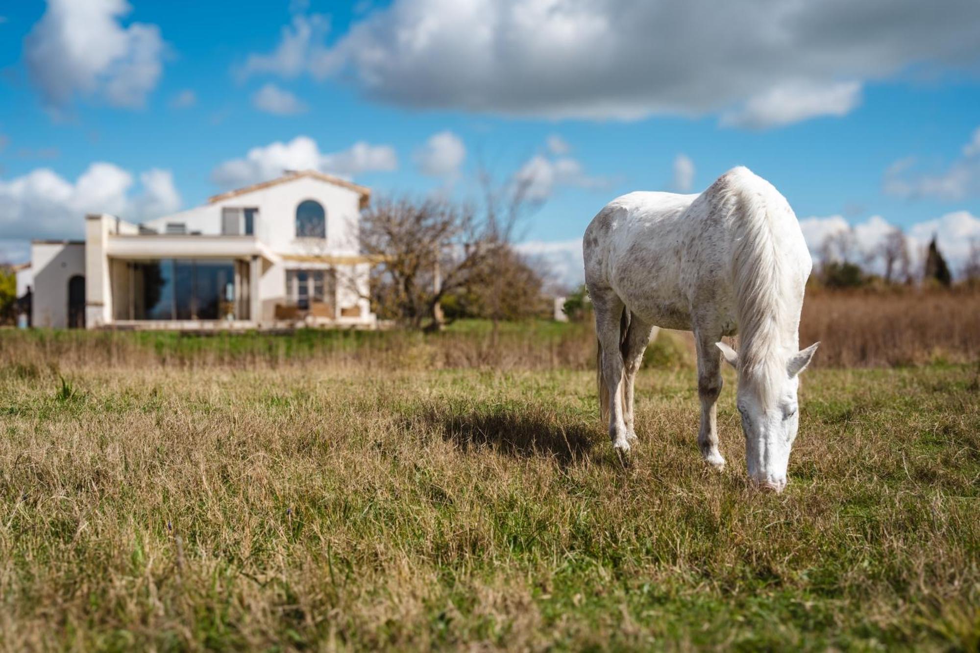 Mas Du Couvin, Maison D'Hotes En Camargue Saintes-Maries-de-la-Mer Exterior photo